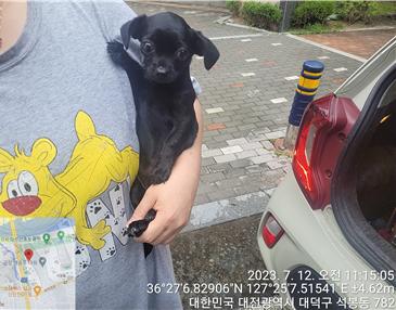 대전동물보호센터_430368202300319
