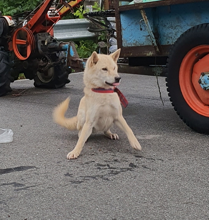 점곡보호소_447516202300144