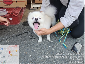 대전동물보호센터_430365202300329