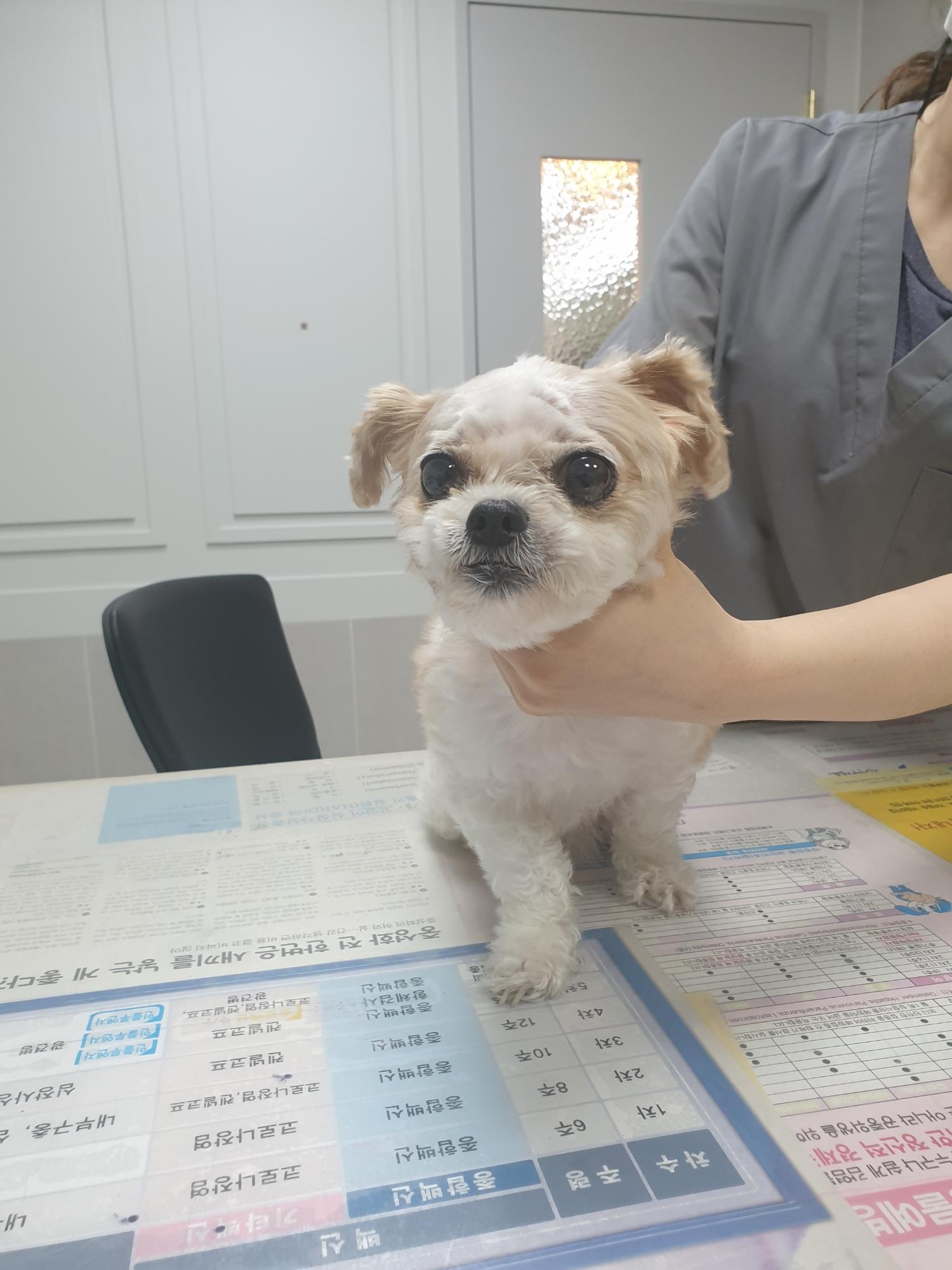 대구시수의사회(평리)_427343202300593