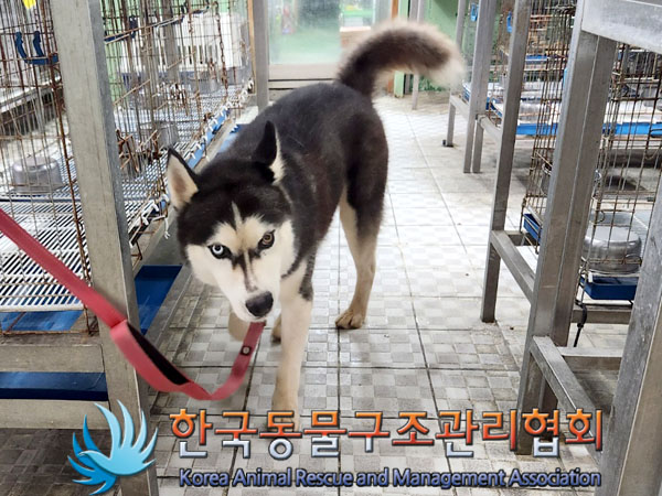 한국동물구조관리협회_441409202301115