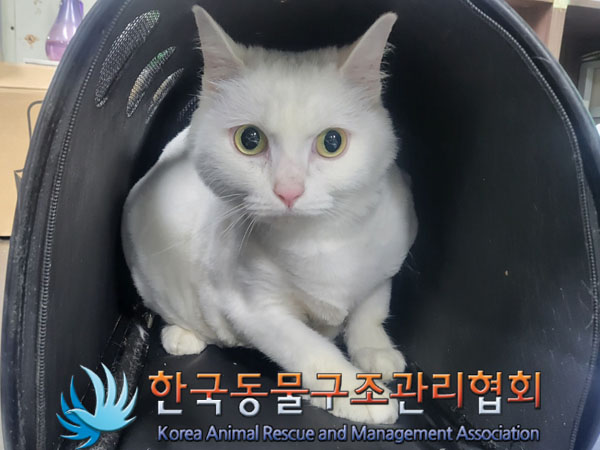 한국동물구조관리협회_411311202300609