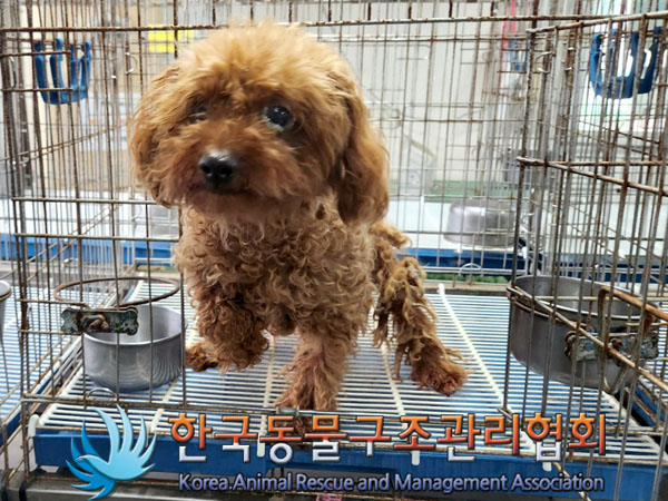 한국동물구조관리협회_441409202301114