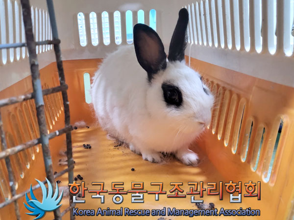 한국동물구조관리협회_411304202300461