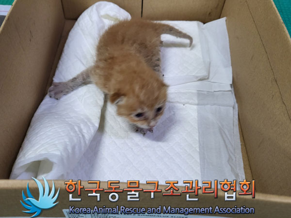 한국동물구조관리협회_411305202300364