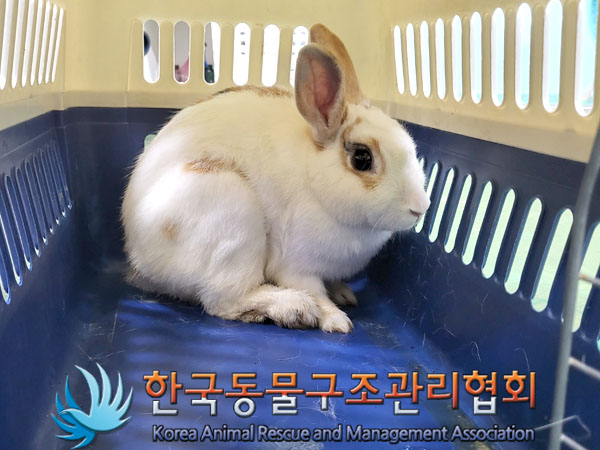 한국동물구조관리협회_411304202300462