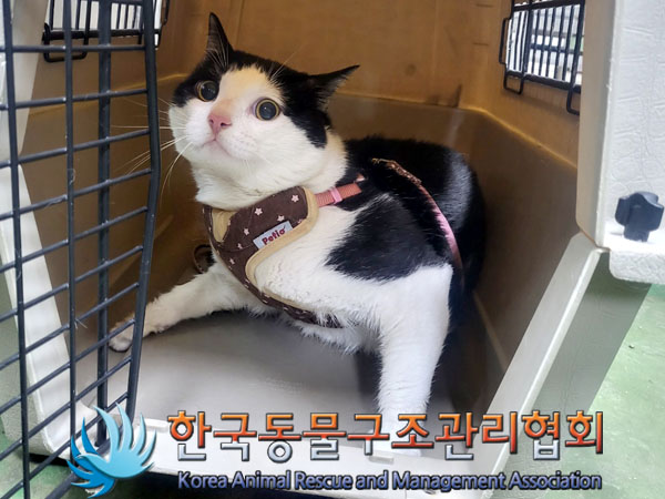 한국동물구조관리협회_411311202300610
