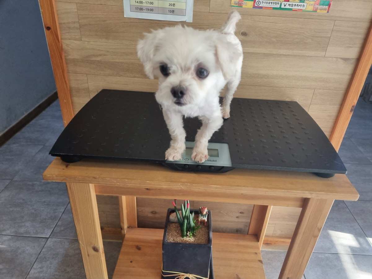 프렌즈동물병원_445464202302532