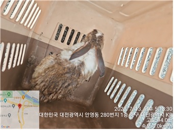 대전동물보호센터_430365202300331