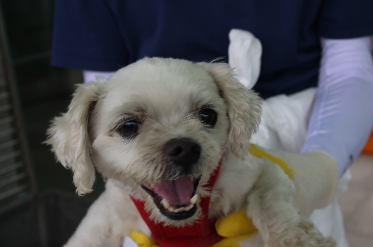 제주 동물보호센터_450650202302418