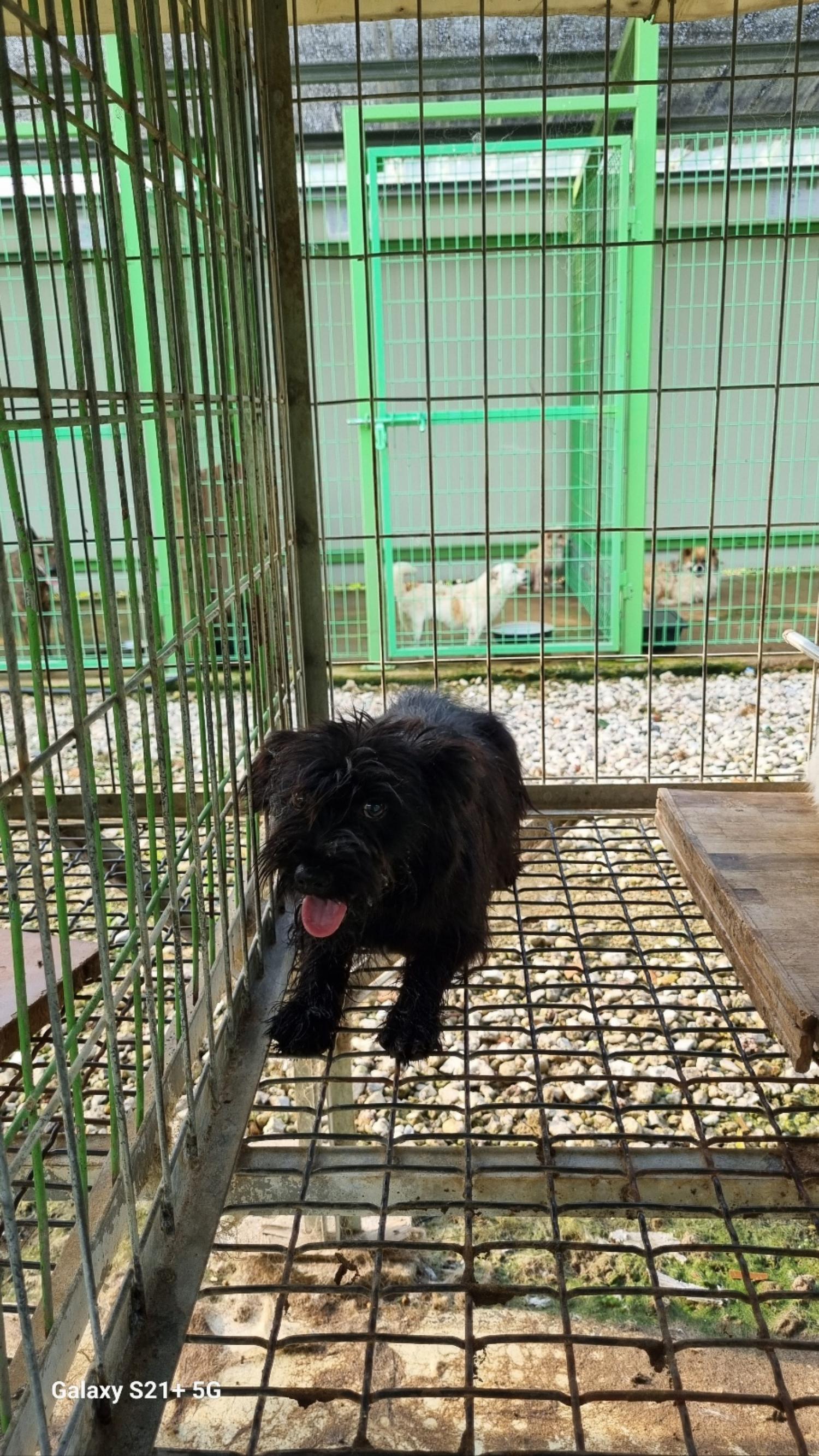 전북말산업복합센터_445471202300173