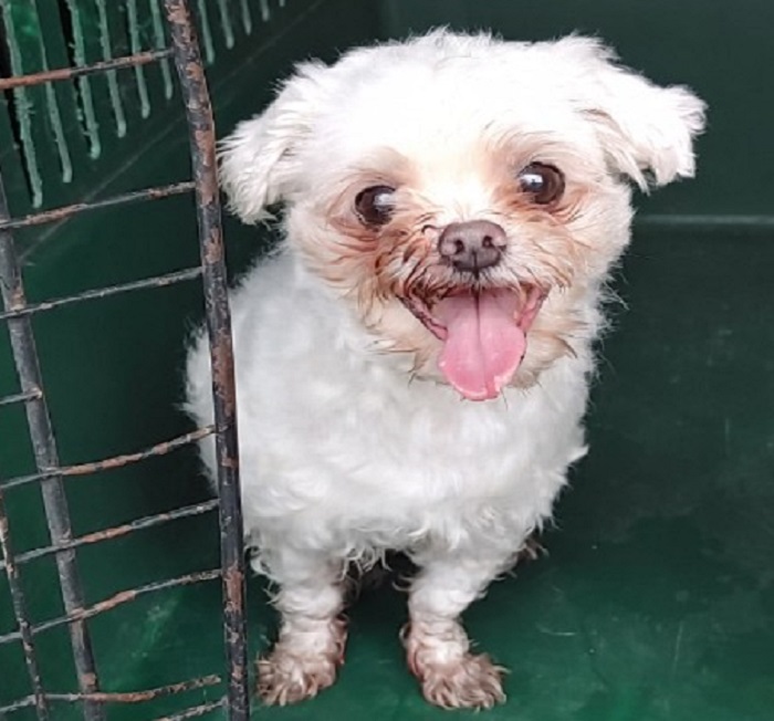 마산유기동물보호소_448528202300917
