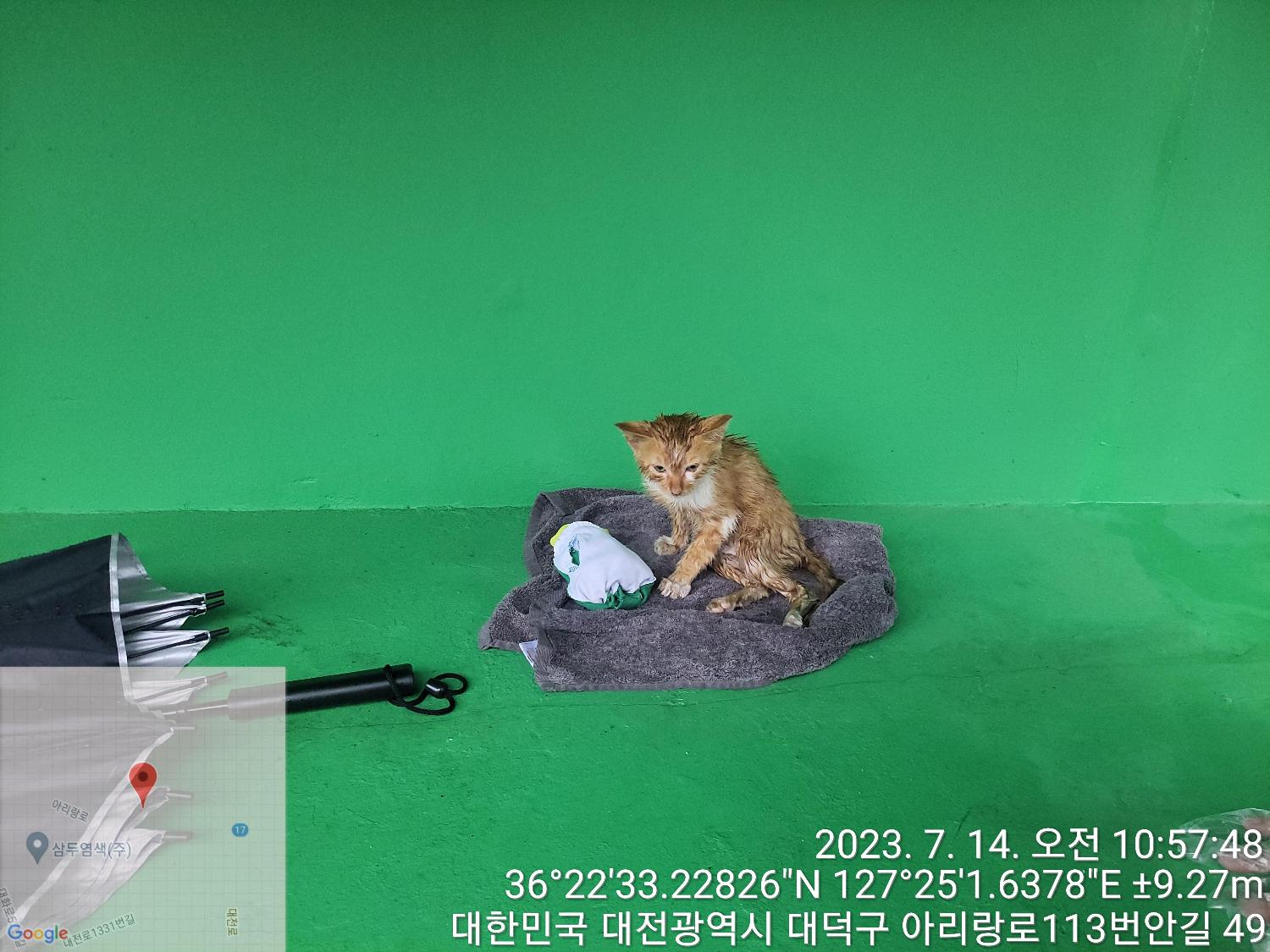 대전동물보호센터_430368202300368
