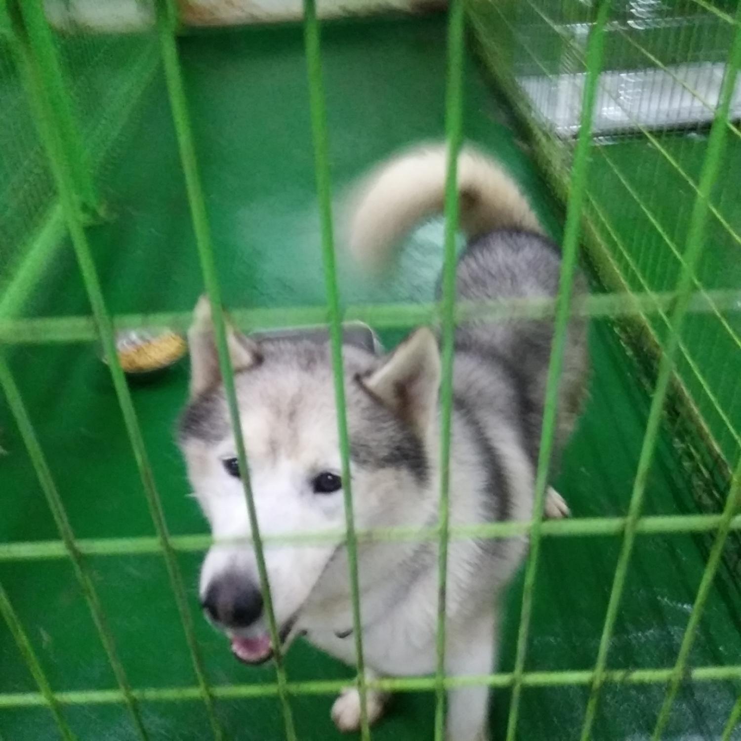 인천광역시수의사회_428351202300583