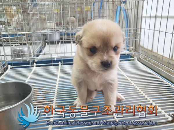 한국동물구조관리협회_441559202300772