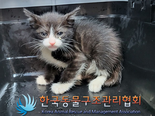 한국동물구조관리협회_411323202300700