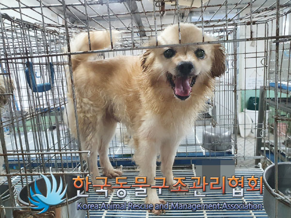 한국동물구조관리협회_411306202300485