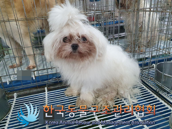 한국동물구조관리협회_411304202300465