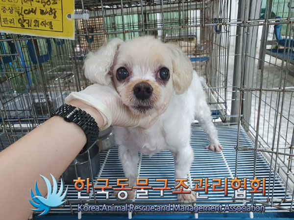 한국동물구조관리협회_411311202300612