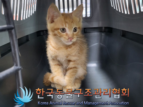 한국동물구조관리협회_441409202301135