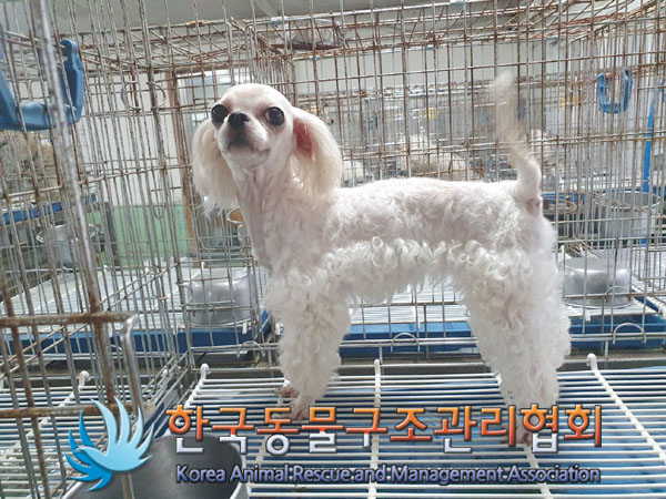 한국동물구조관리협회_441398202300263