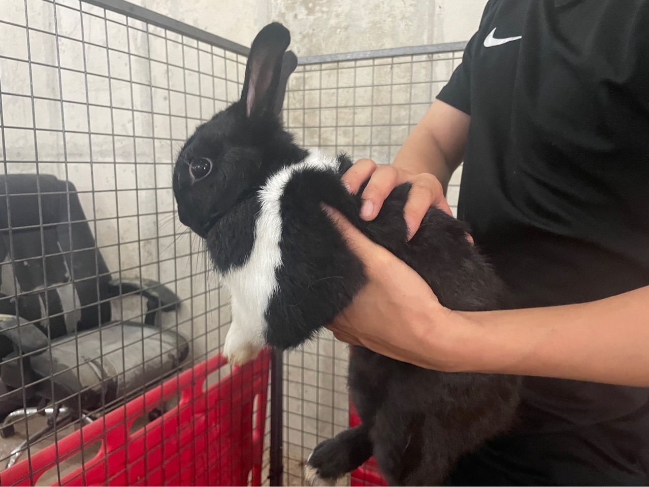 제주에니멀119(주)_450651202301627