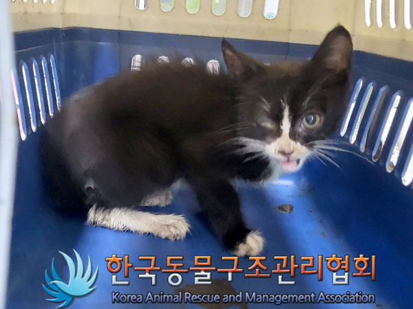 한국동물구조관리협회_411303202300322