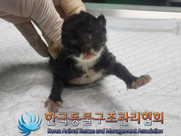 한국동물구조관리협회_411315202300471