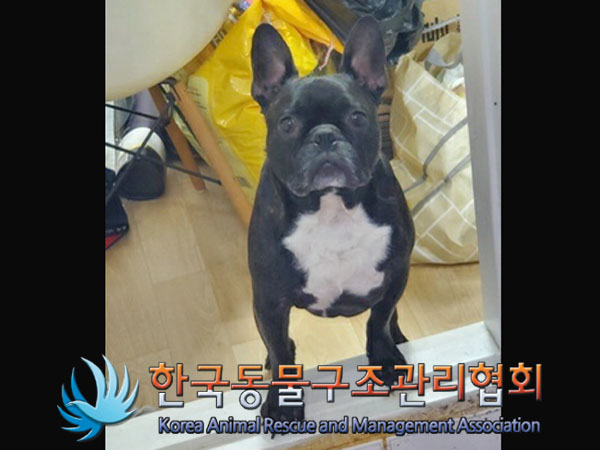 한국동물구조관리협회_411315202300470