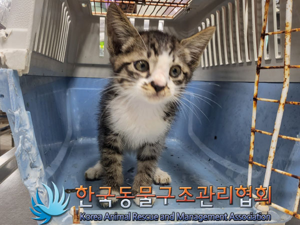 한국동물구조관리협회_441414202300526