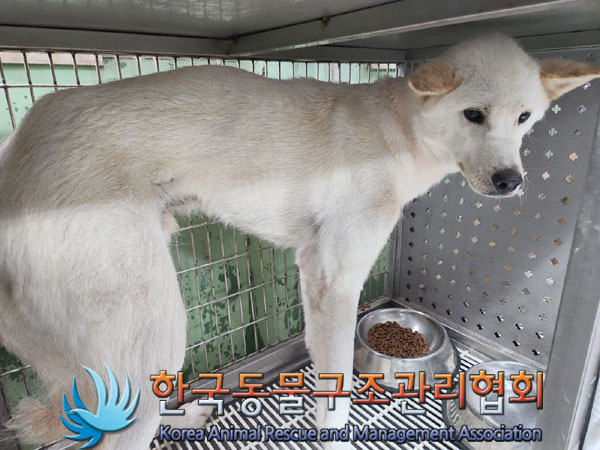 한국동물구조관리협회_411315202300469