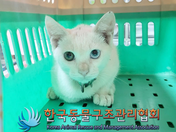한국동물구조관리협회_411305202300367