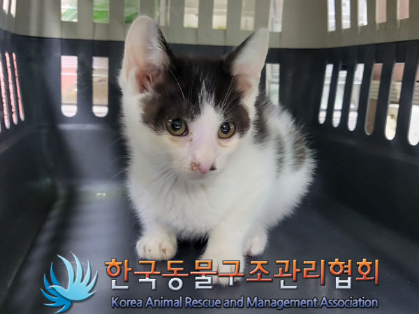 한국동물구조관리협회_411323202300701