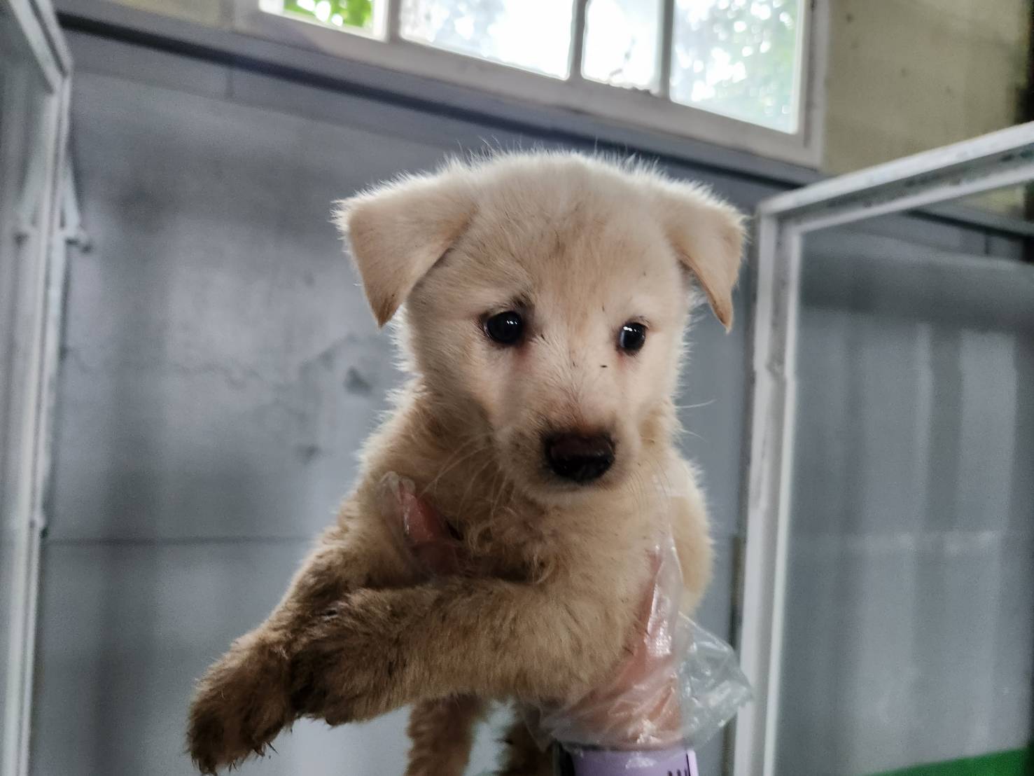 한국야생동물보호협회_441383202300429