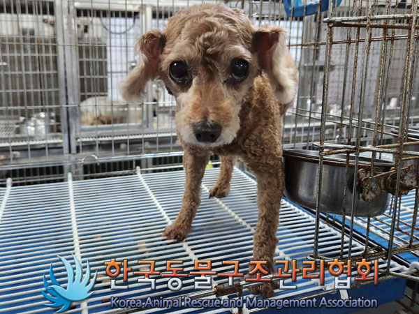 한국동물구조관리협회_441560202300899