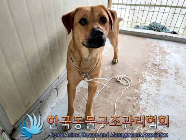 한국동물구조관리협회_441559202300776