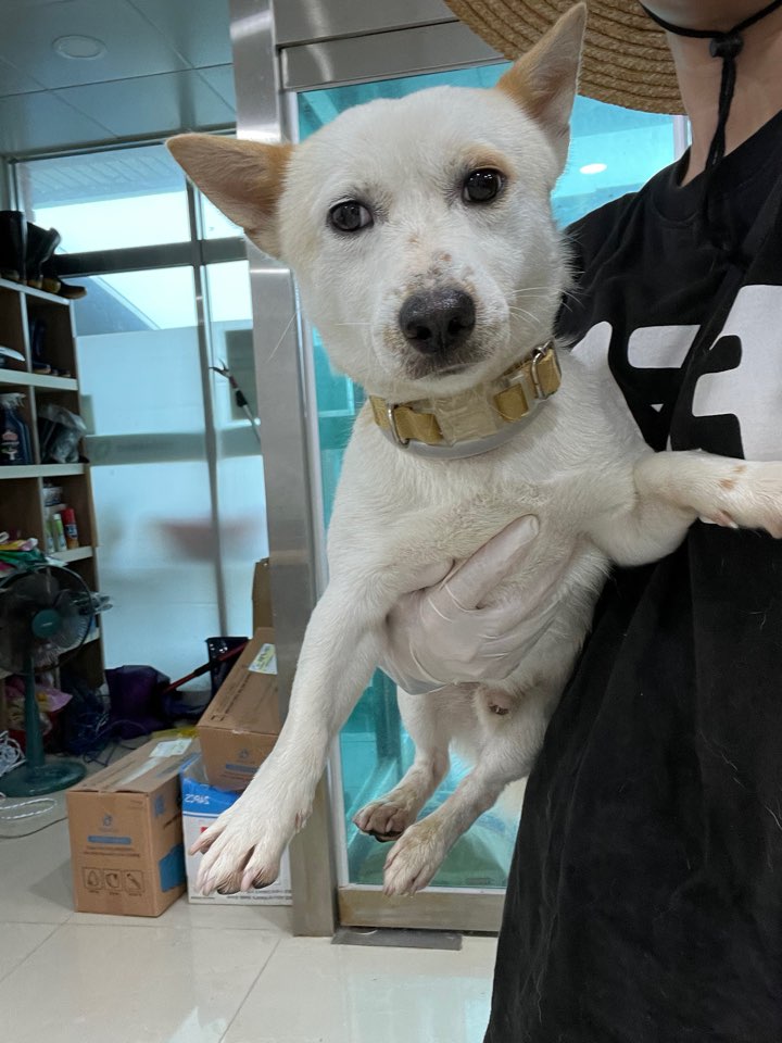 반려동물보호센터_443571202301879