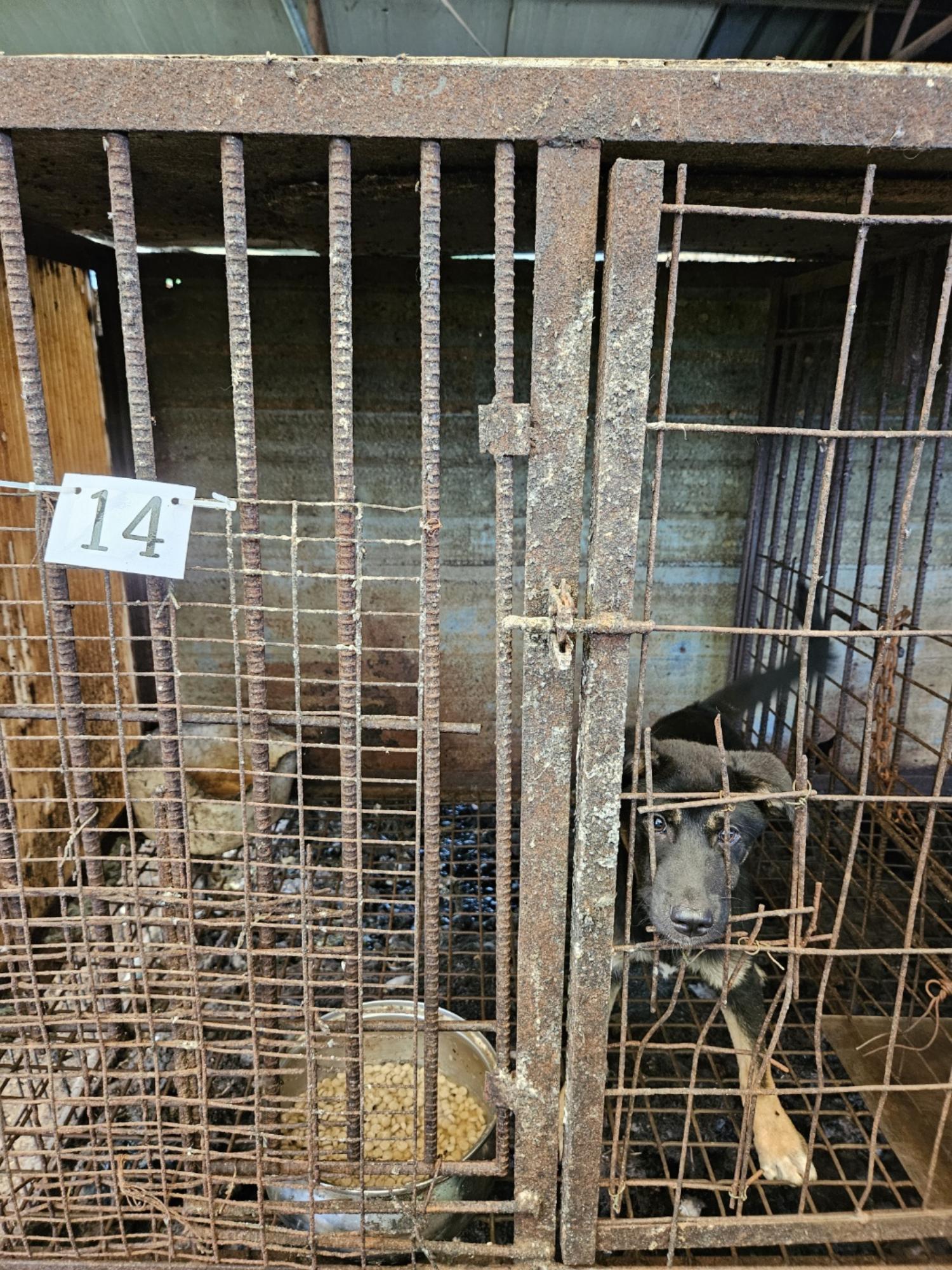 금왕동물병원_443447202300312