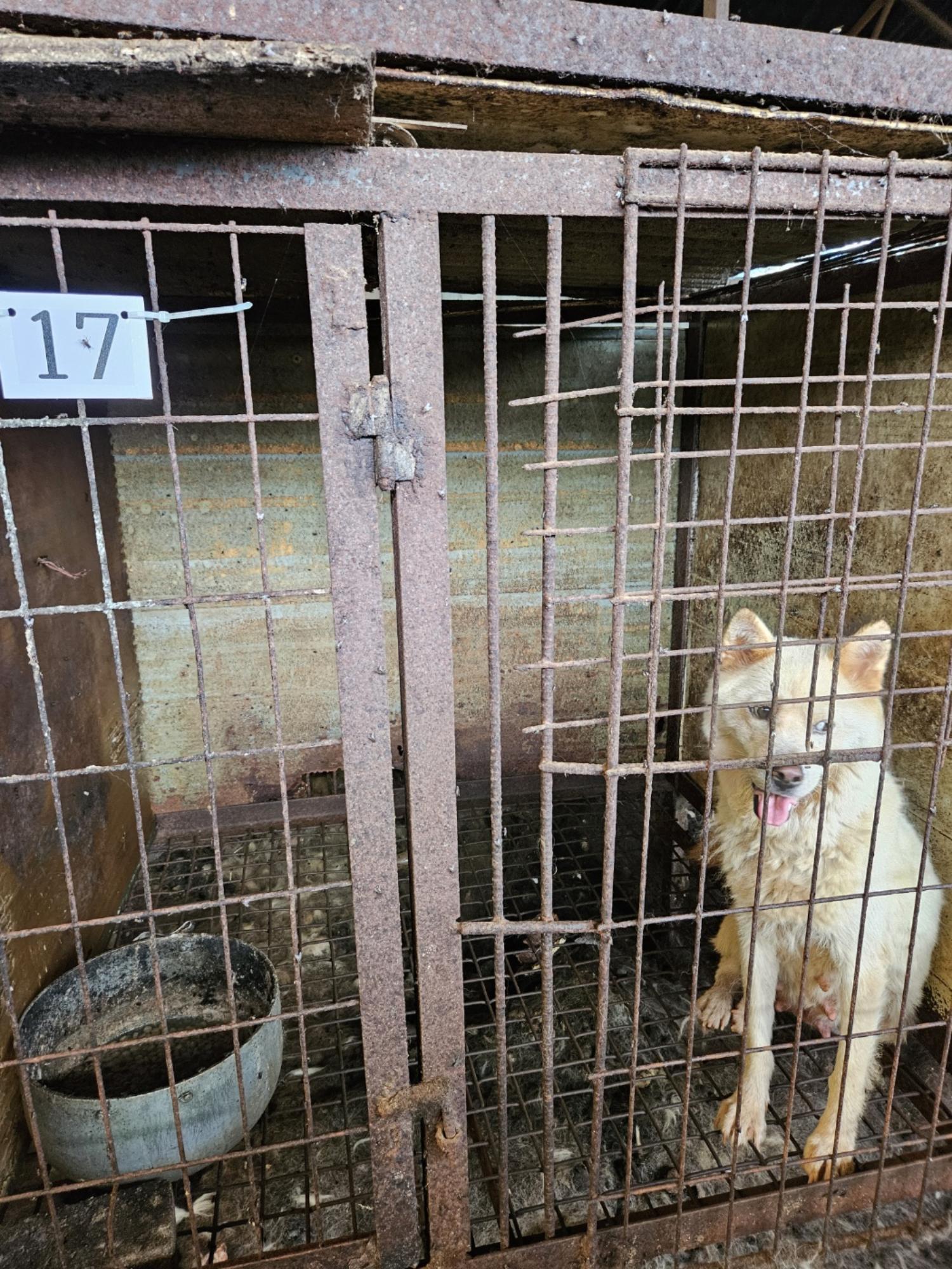 금왕동물병원_443447202300315