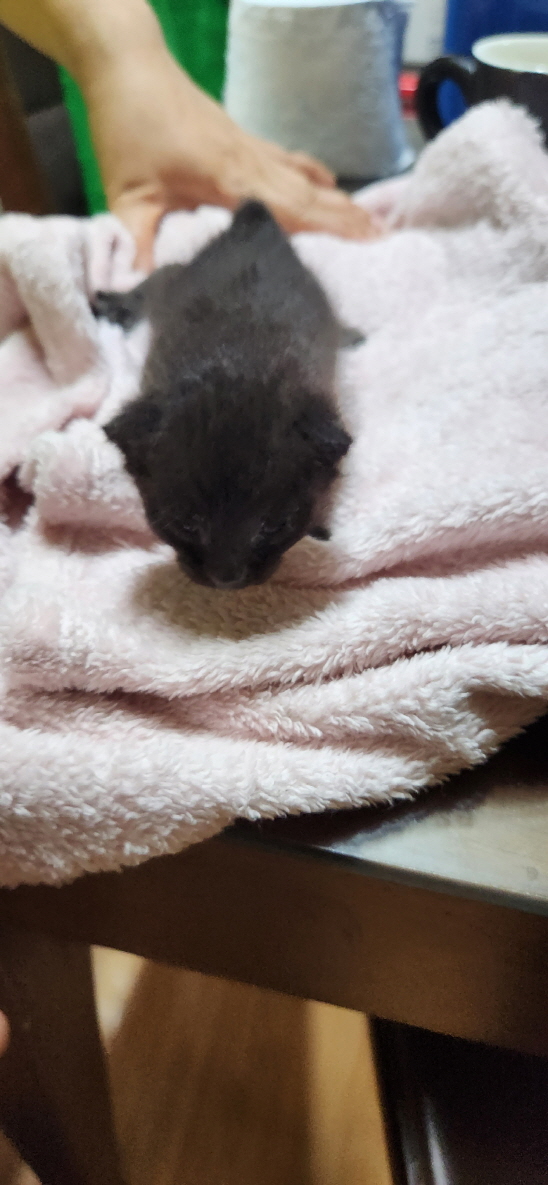 익산유기동물보호소_445468202301459