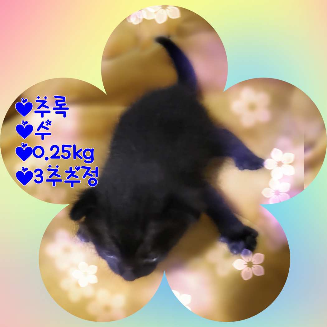 군산유기동물보호센터_445467202301338