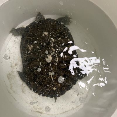 누리동물병원_426333202300551