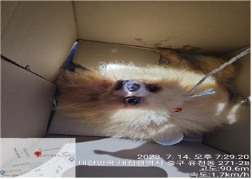 대전동물보호센터_430365202300332