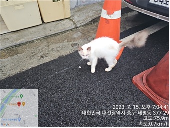 대전동물보호센터_430365202300335