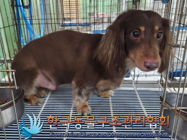 한국동물구조관리협회_411317202300202