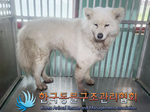 한국동물구조관리협회_441414202300530