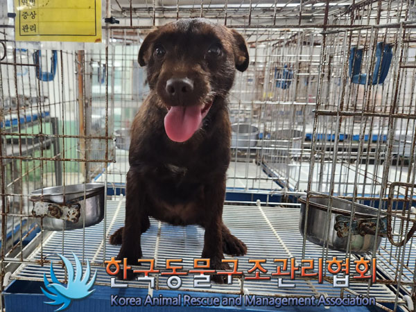 한국동물구조관리협회_441559202300778