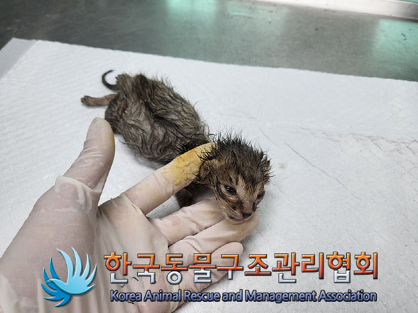 한국동물구조관리협회_411307202300258