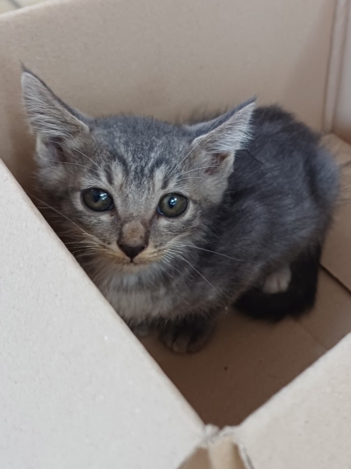 밀양시동물보호센터_448536202301572