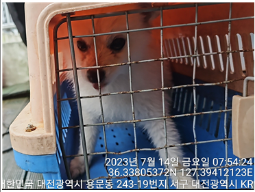 대전동물보호센터_430366202300423